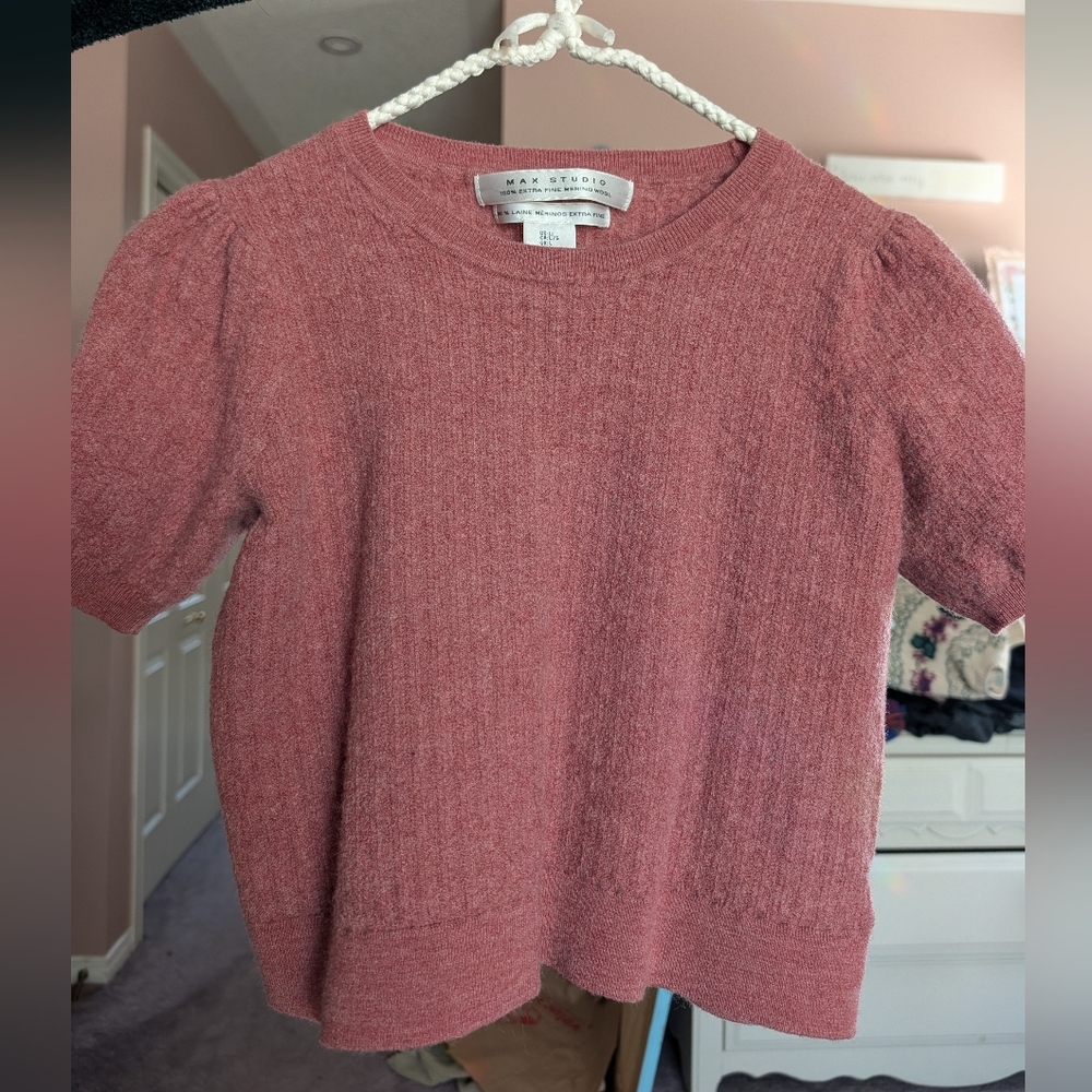 Max Studio Pink Merino Wool Top